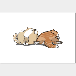 Cutie Sleepy Cats Posters and Art